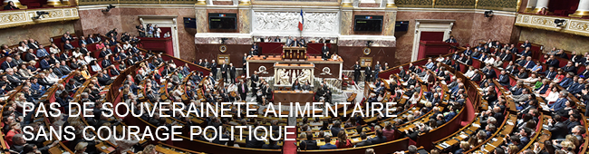 Pas de souveraineté alimentaire sans courage politique - Show images