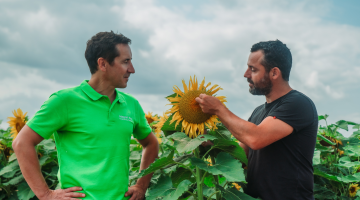Integral® Pro de BASF : traitement fongicide pour semences de tournesol