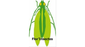 Logo de Flor'Insectes