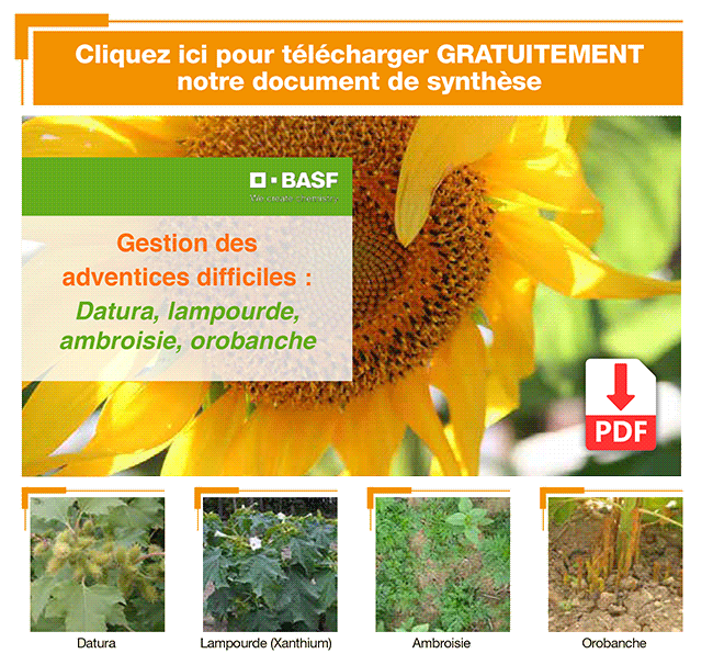 Cliquez pour tlcharger le guide